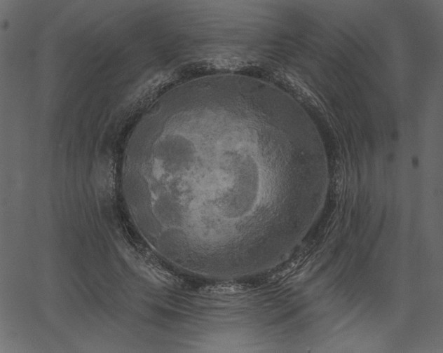 X0000067390639200603311300