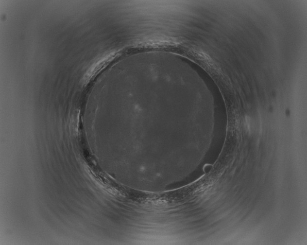 X0000067390640200603311300