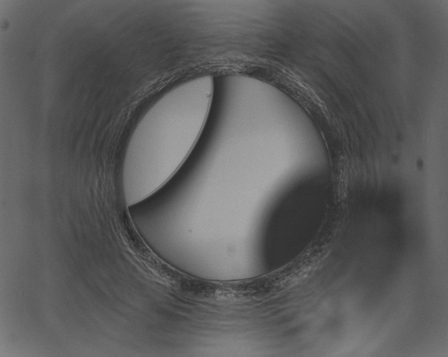 X0000067390641200603311300