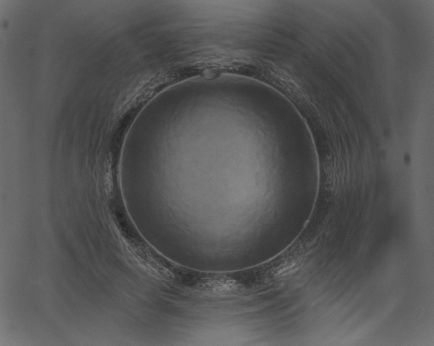 X0000067390642200603311300