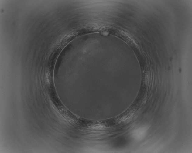 X0000067390643200603311300