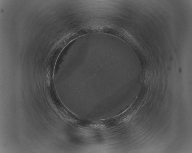 X0000067390644200603311300