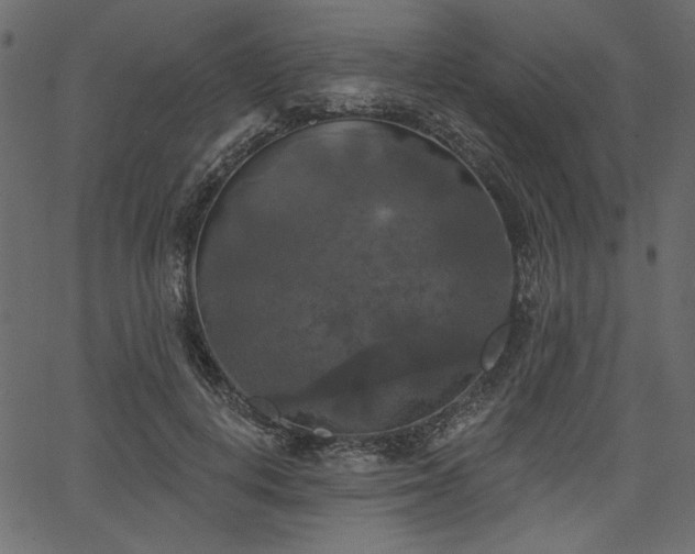 X0000067390648200603311300