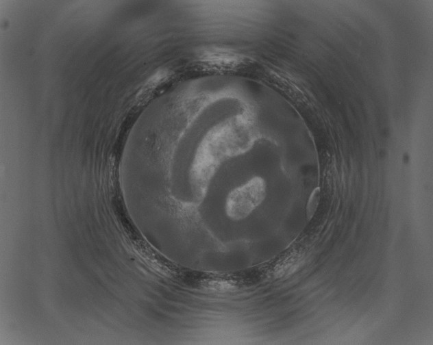 X0000067390649200603311300