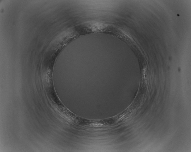 X0000067390650200603311300