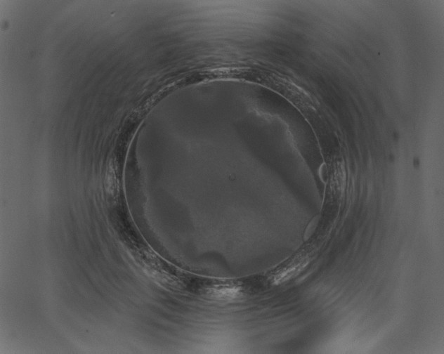 X0000067390651200603311300