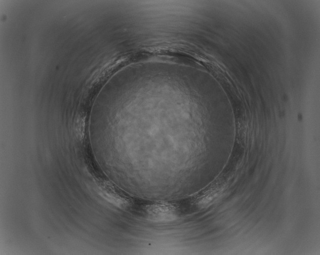 X0000067390652200603311300