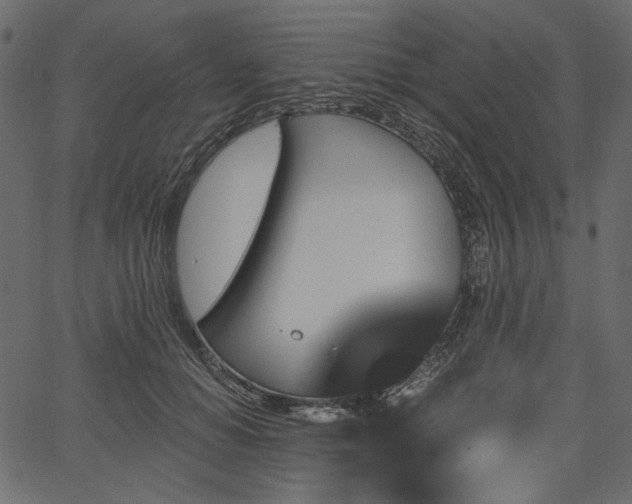 X0000067390654200603311300