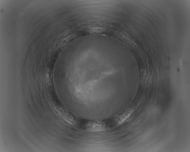 X0000067390655200603311300