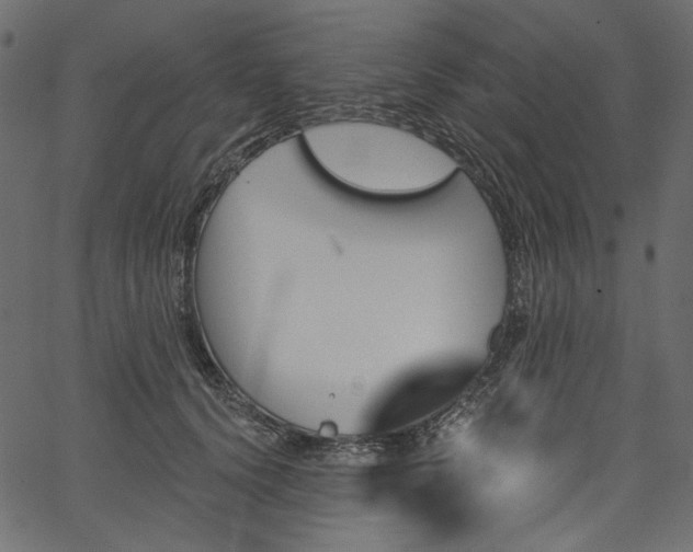 X0000067390656200603311300