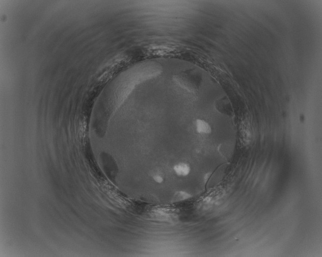 X0000067390657200603311300