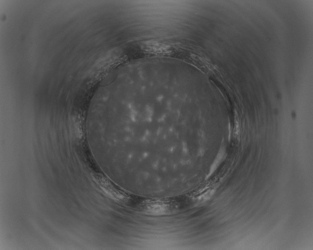 X0000067390658200603311300