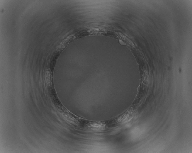 X0000067390659200603311300