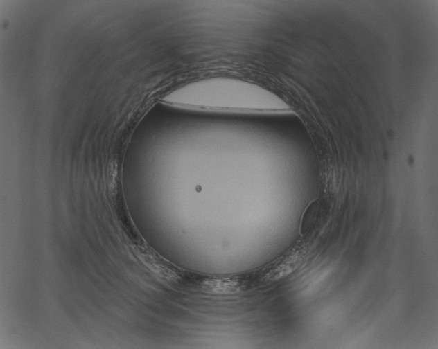 X0000067390660200603311300