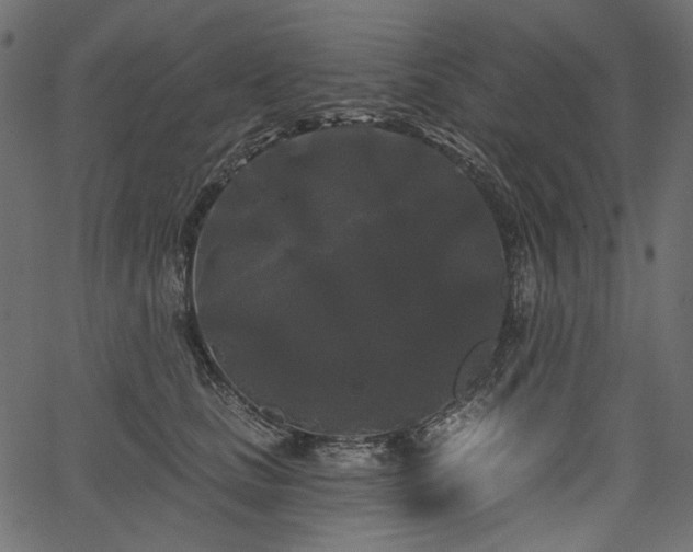 X0000067390661200603311300