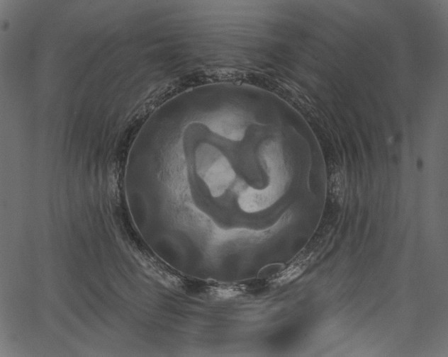 X0000067390662200603311300