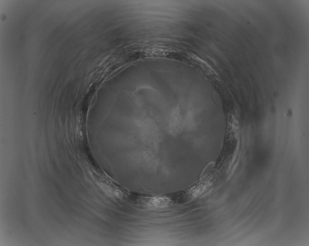 X0000067390663200603311300