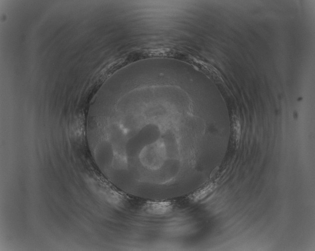 X0000067390665200603311300