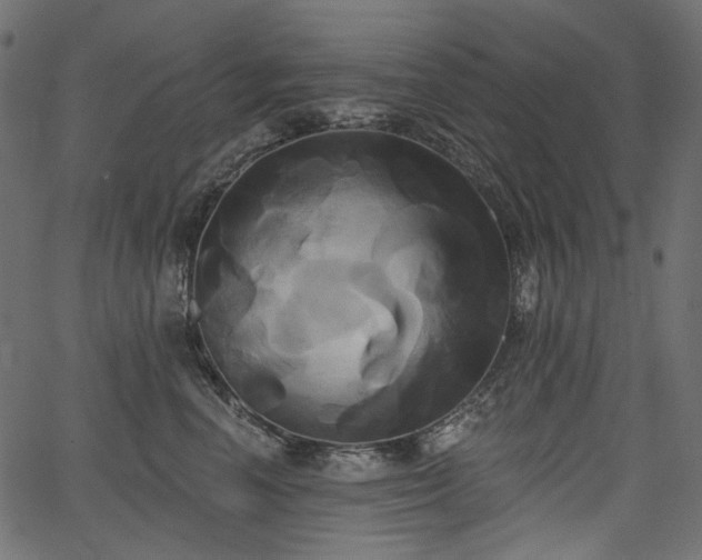 X0000067390666200603311300