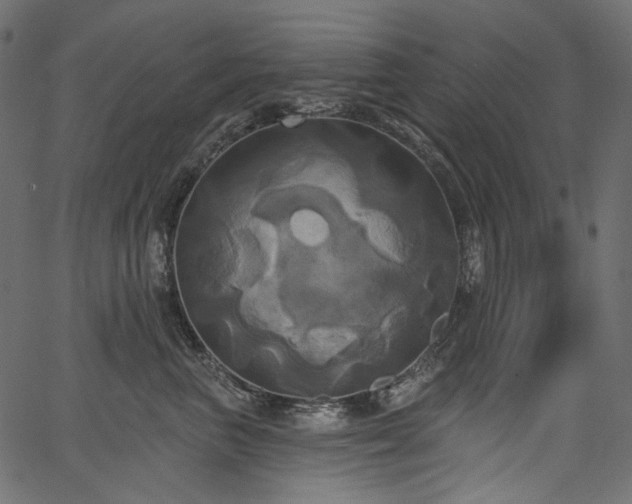 X0000067390667200603311300