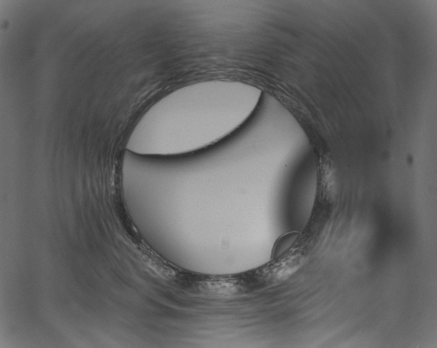 X0000067390668200603311300