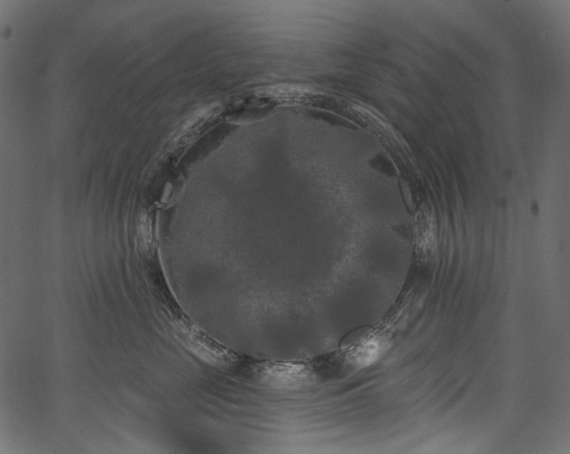 X0000067390669200603311300