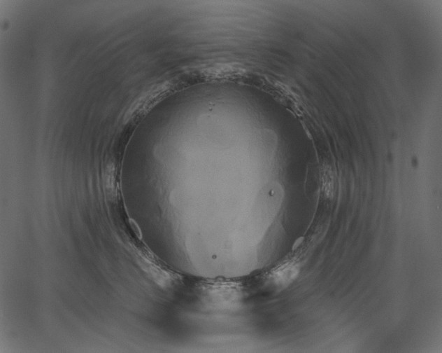 X0000067390670200603311300