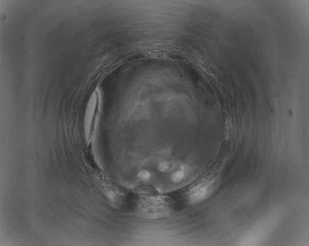 X0000067390671200603311300