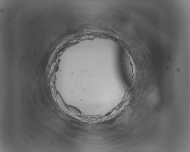 X0000067390672200603311300