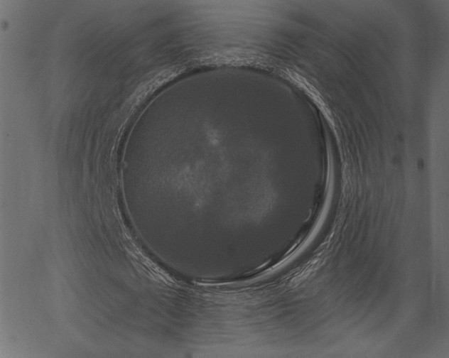 X0000067390673200603311300