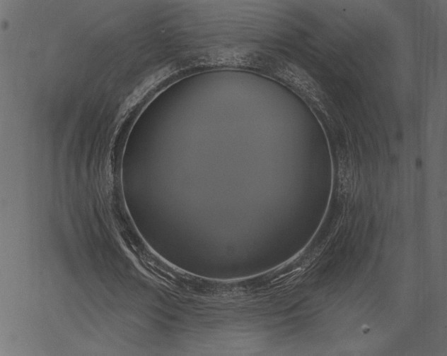 X0000067390674200603311259