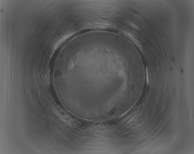 X0000067390675200603311259