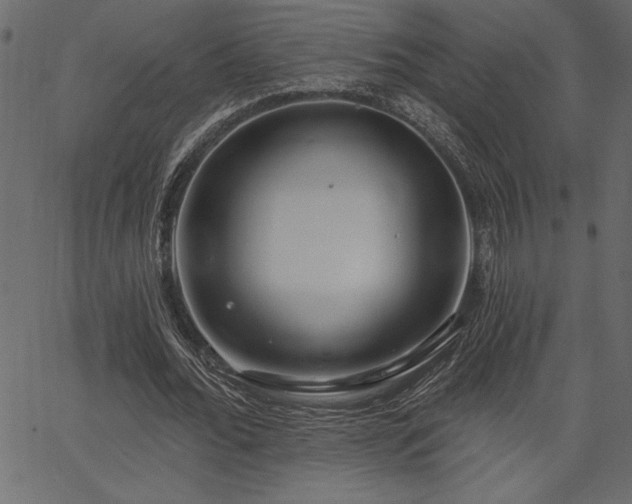 X0000067390676200603311259