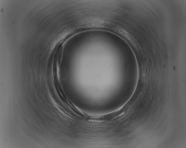 X0000067390677200603311259