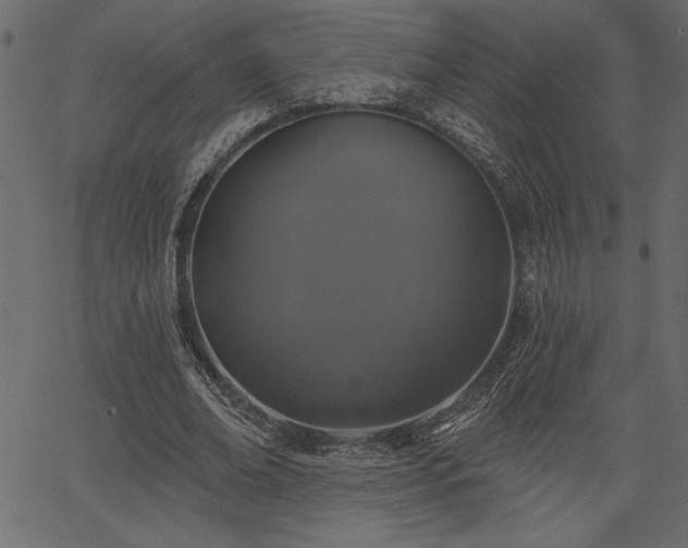 X0000067390678200603311259