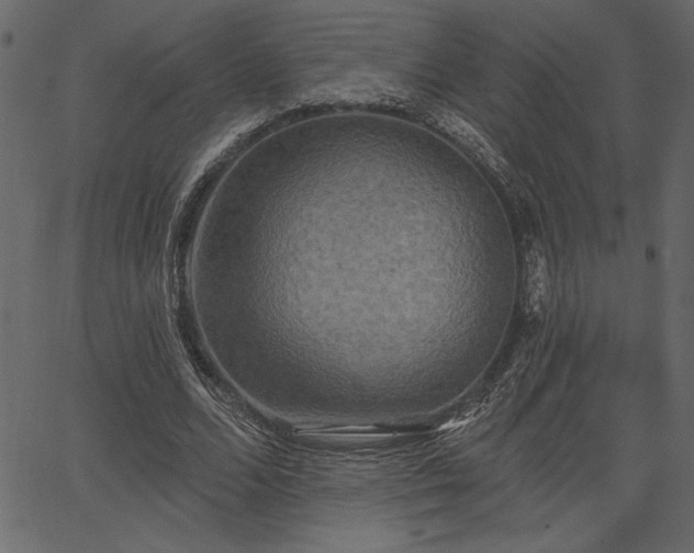 X0000067390680200603311259