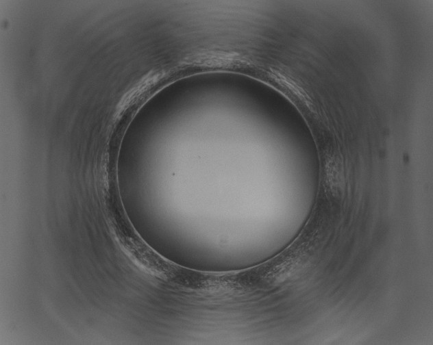 X0000067390682200603311259