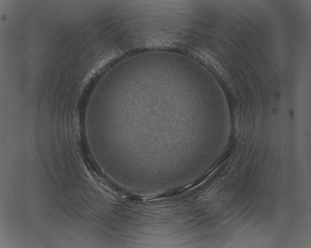 X0000067390684200603311259