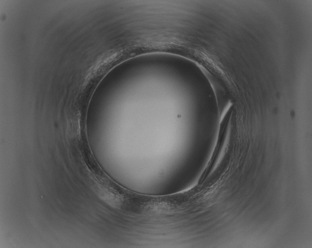 X0000067390685200603311259