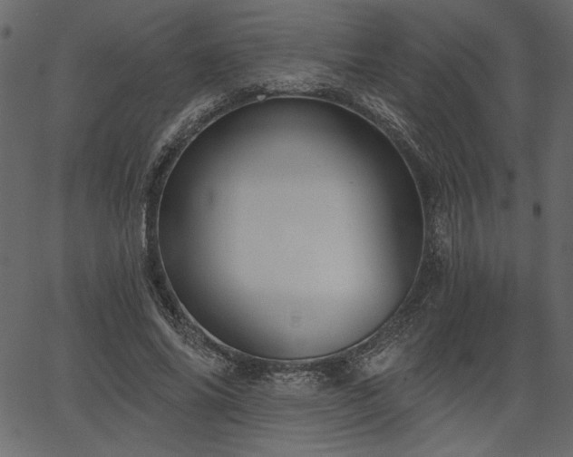 X0000067390686200603311259