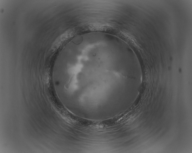 X0000067390687200603311259