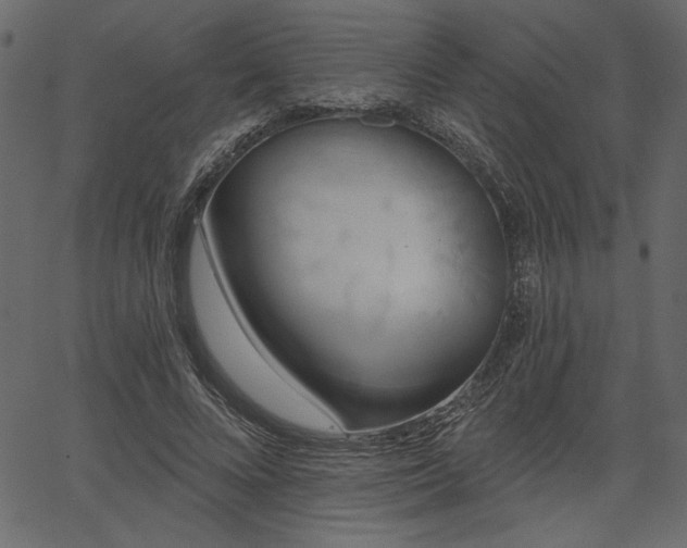 X0000067390688200603311259