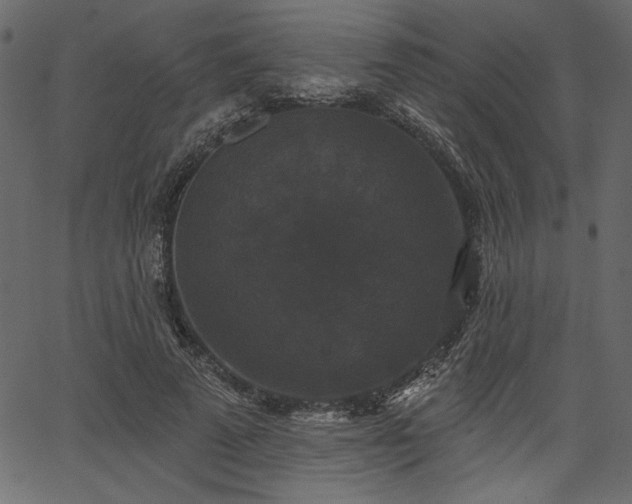 X0000067390689200603311259