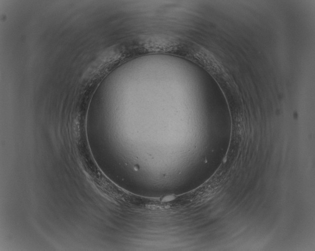 X0000067390690200603311259