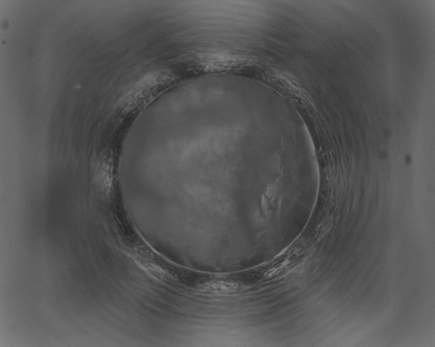 X0000067390691200603311259