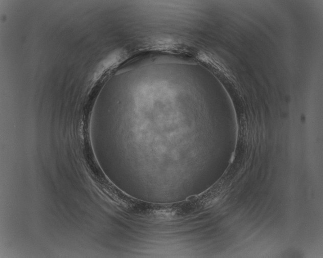 X0000067390692200603311259