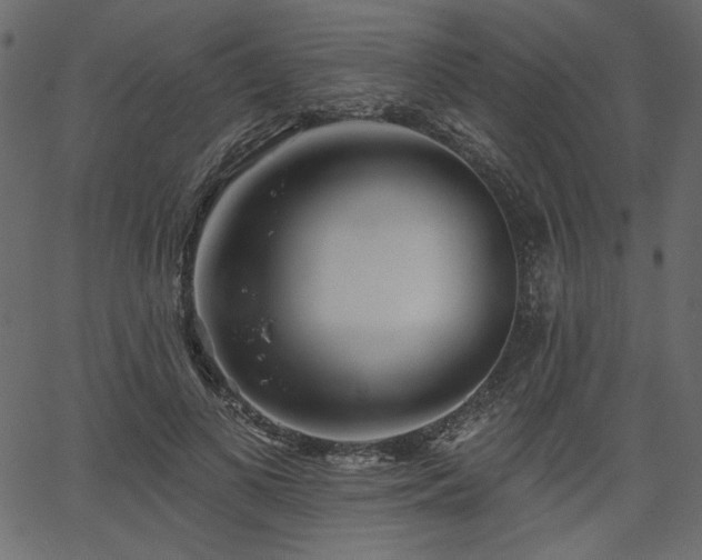 X0000067390693200603311259