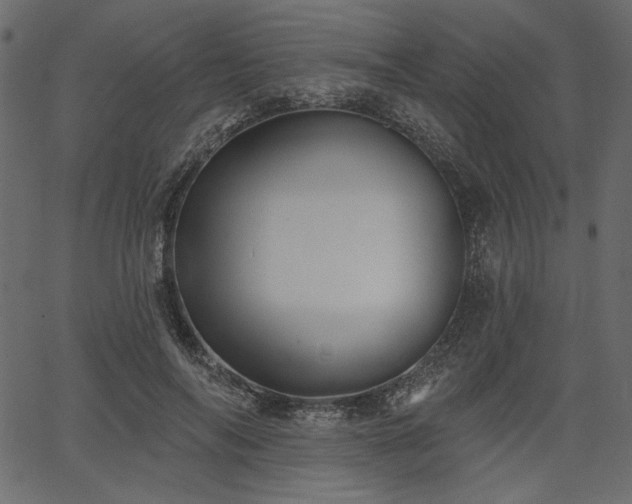 X0000067390694200603311259