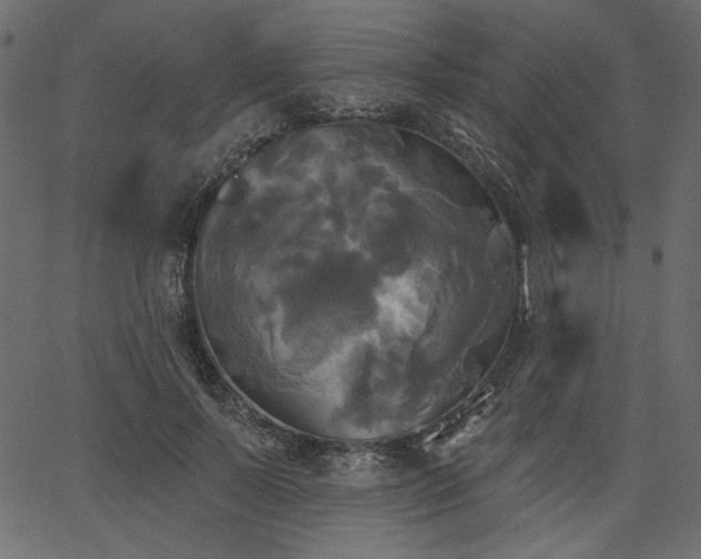 X0000067390695200603311259