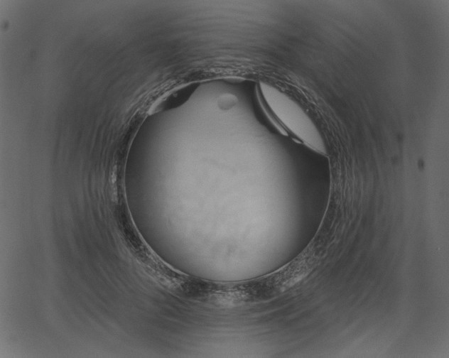 X0000067390696200603311259